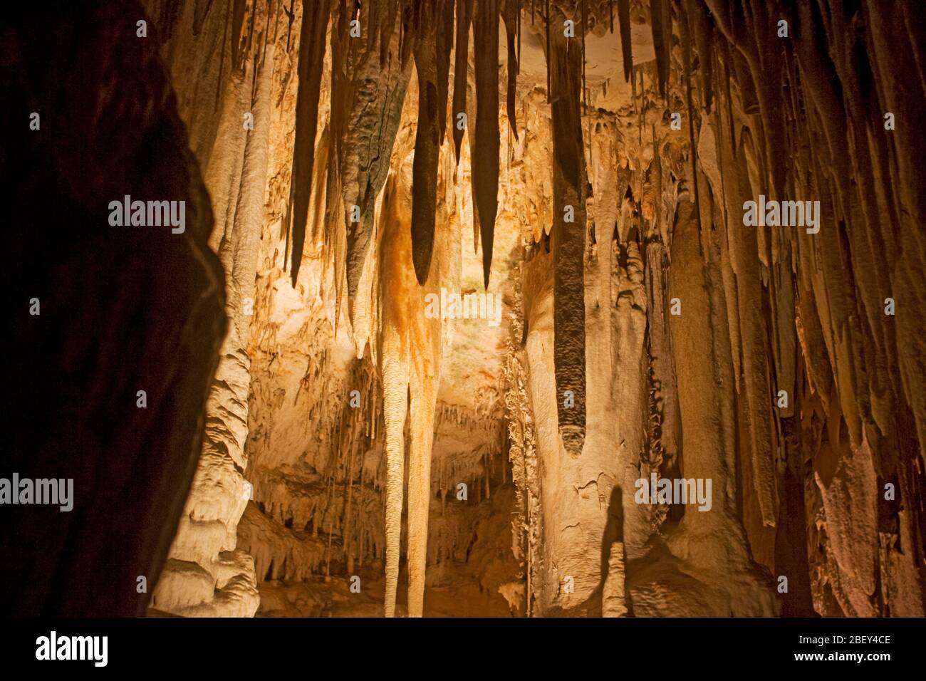 All'interno della Riserva Naturale della Grotta di Avshalom Stalactite (chiamata anche Grotta di Soreq) Monti di Gerusalemme, Israele questa grotta è lunga 82 metri e larga 60 metri Foto Stock