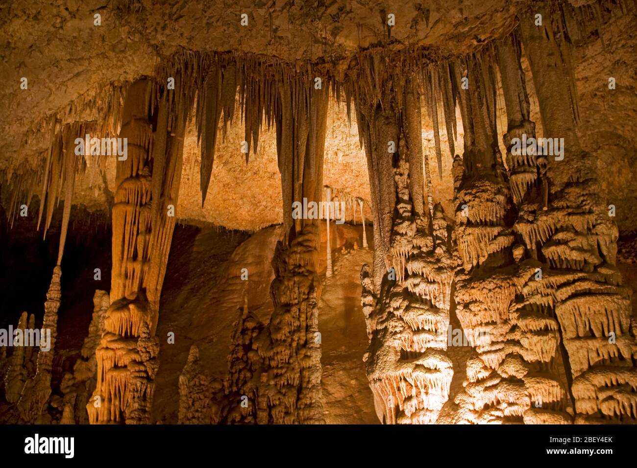 All'interno della Riserva Naturale della Grotta di Avshalom Stalactite (chiamata anche Grotta di Soreq) Monti di Gerusalemme, Israele questa grotta è lunga 82 metri e larga 60 metri Foto Stock