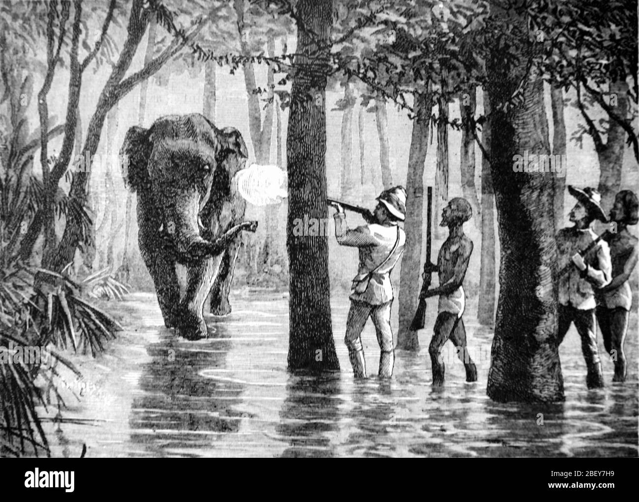 Cacciatori coloniali che uccidono l'elefante della foresta o l'elefante asiatico aka l'elefante asiatico, l'elefante maximus di Elephas, sulla caccia dell'elefante a Ceylon o Sri Lanka. Vintage o Old Illustration o Engraving 1888 Foto Stock