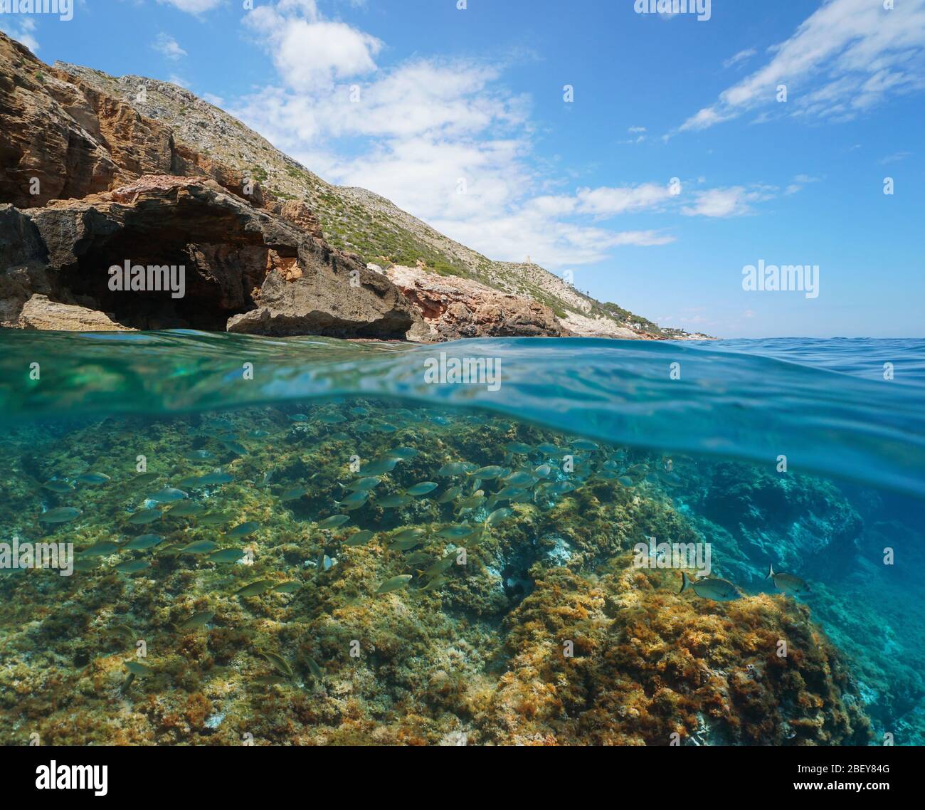 Mare Mediterraneo costa rocciosa in Spagna con pesce subacqueo, vista su e sotto la superficie dell'acqua, Costa Blanca, Denia, Alicante, Valencia Foto Stock