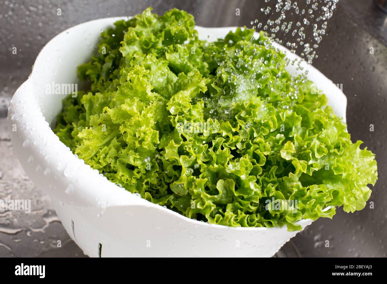 Lattuga fresca e vibrante verde risciacquata con acqua nel colander bianco al lavandino della cucina Foto Stock