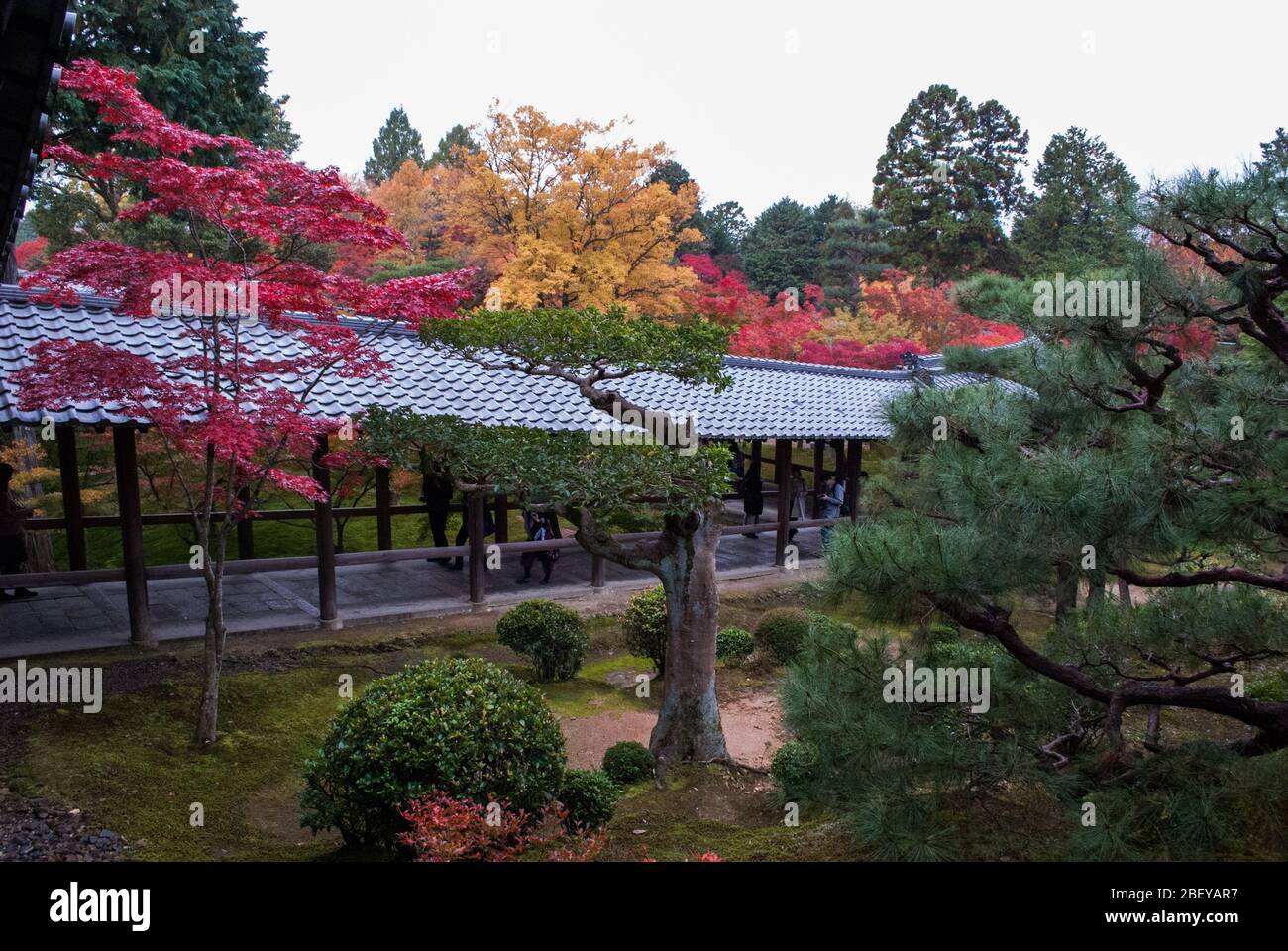 15 ° secolo 15-ji Tempio, Chōme-778 Kyōto Honmachi, Higashiyama-ku, Tōfuku, Prefettura di Kyoto Foto Stock