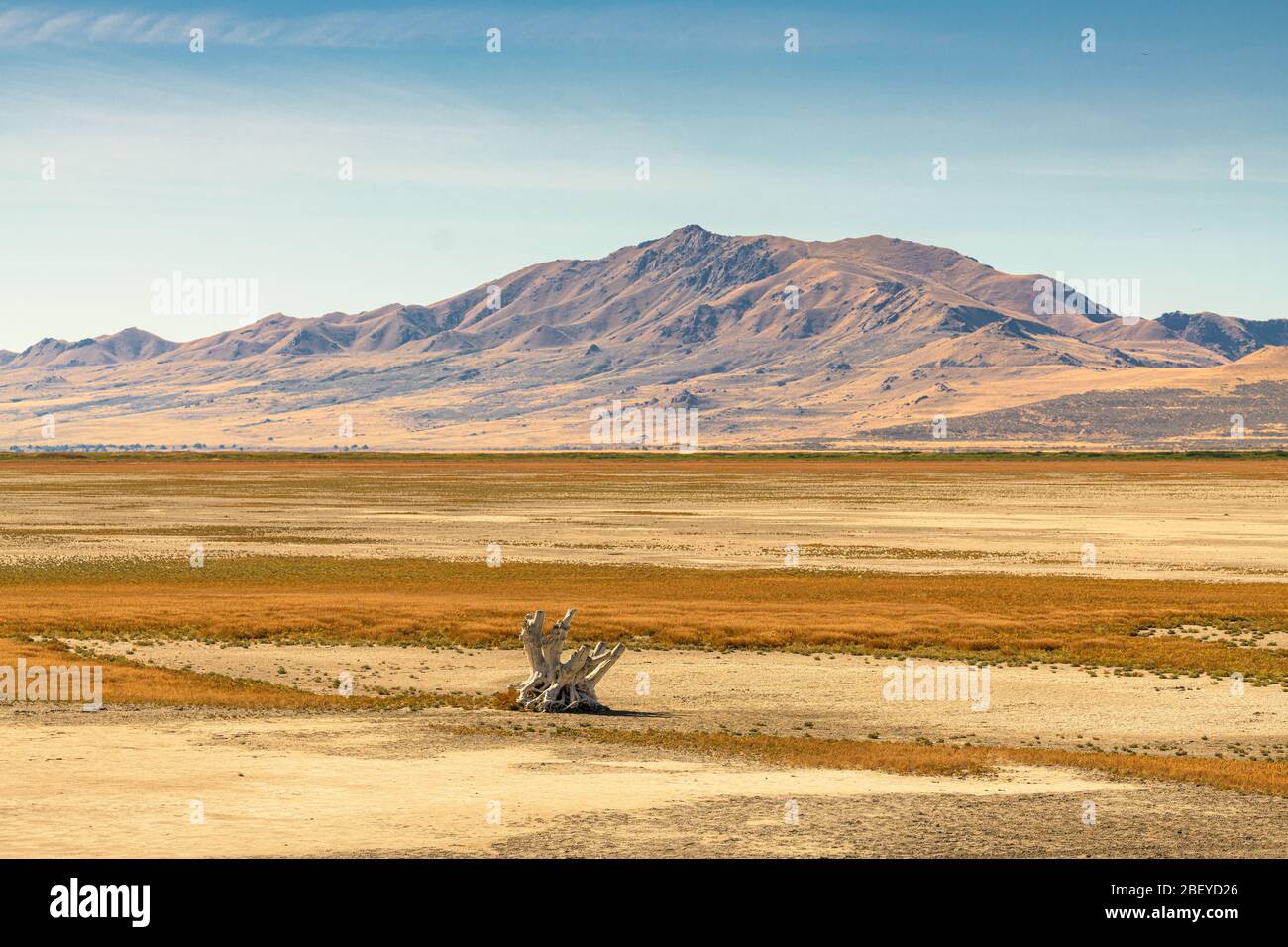 Salt Lake City, Utah, USA, paesaggio di baren al Great Salt Lake. Foto Stock