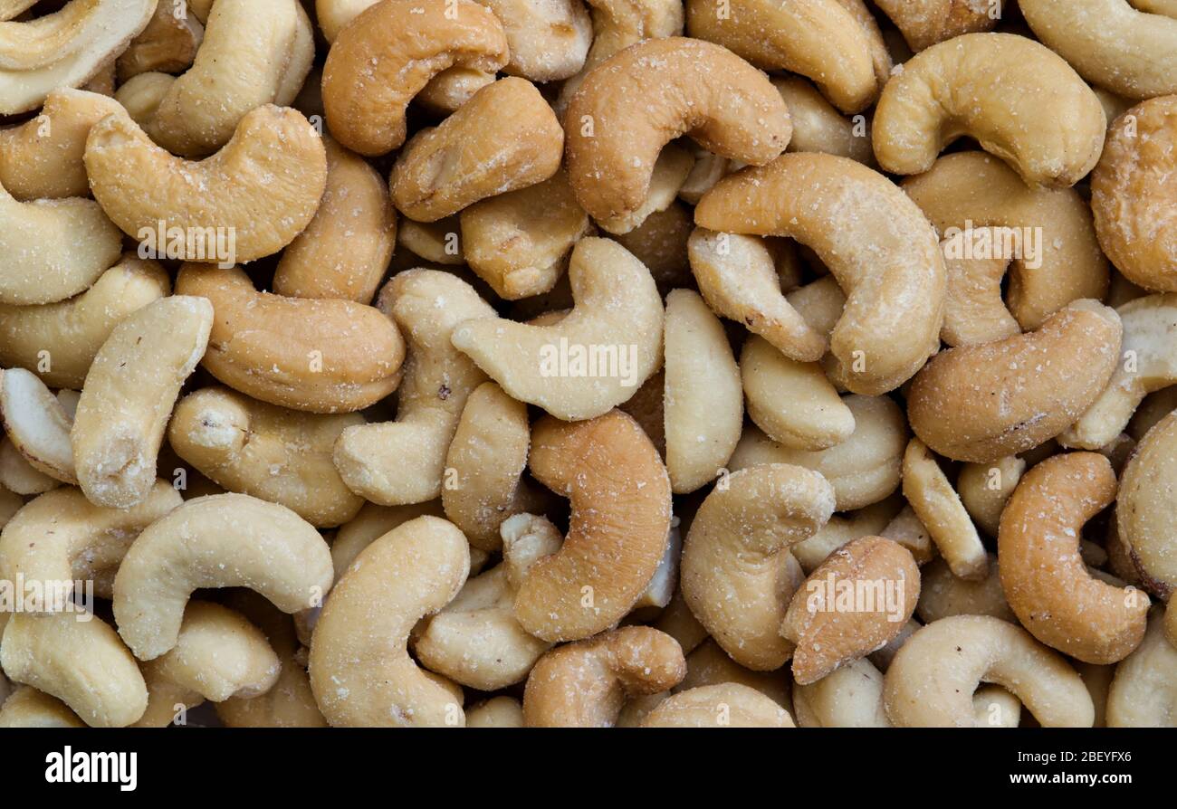 Noci di cashew, arrostite e leggermente salate. Immagine macro, fotogramma intero. Nativi del Brasile sono comuni come uno spuntino e spesso utilizzati nella cucina asiatica. Foto Stock