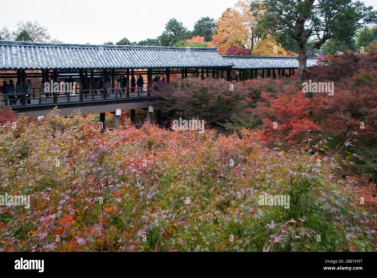 15 ° secolo 15-ji Tempio, Chōme-778 Kyōto Honmachi, Higashiyama-ku, Tōfuku, Prefettura di Kyoto Foto Stock