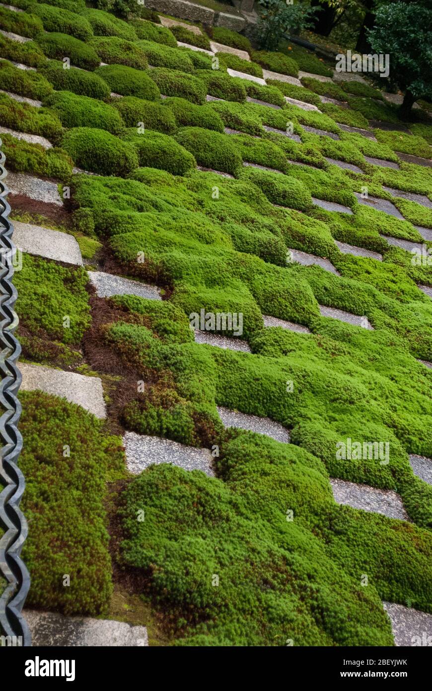 Moderno Giardino Zen Moss 15 ° secolo Tempio Tōfuku-ji, 15-Chōme 778 Honmachi, Higashiyama-ku, Kyōto, Prefettura di Kyoto di Mirei Shigemori Foto Stock