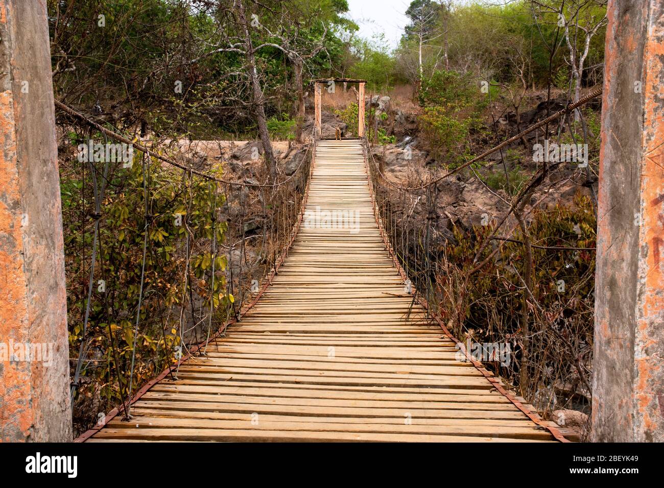 Un cane si trova ad un'estremità di un vecchio ponte oscillante usurato e non sicuro che attraversa l'isola delle regioni di Don Det, Loas. Foto Stock