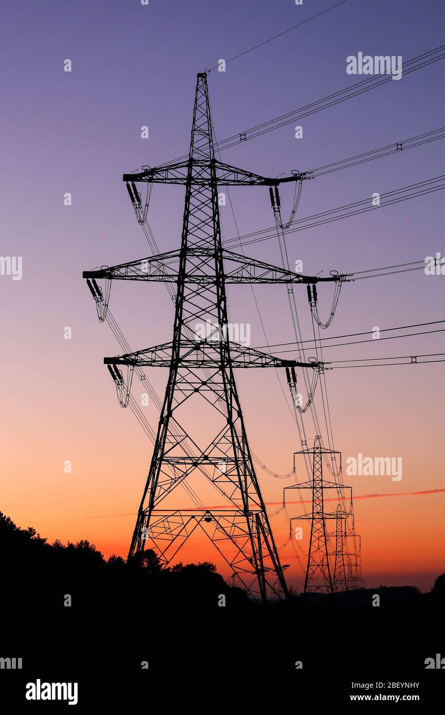 Fila di piloni elettrici al tramonto. Foto Stock