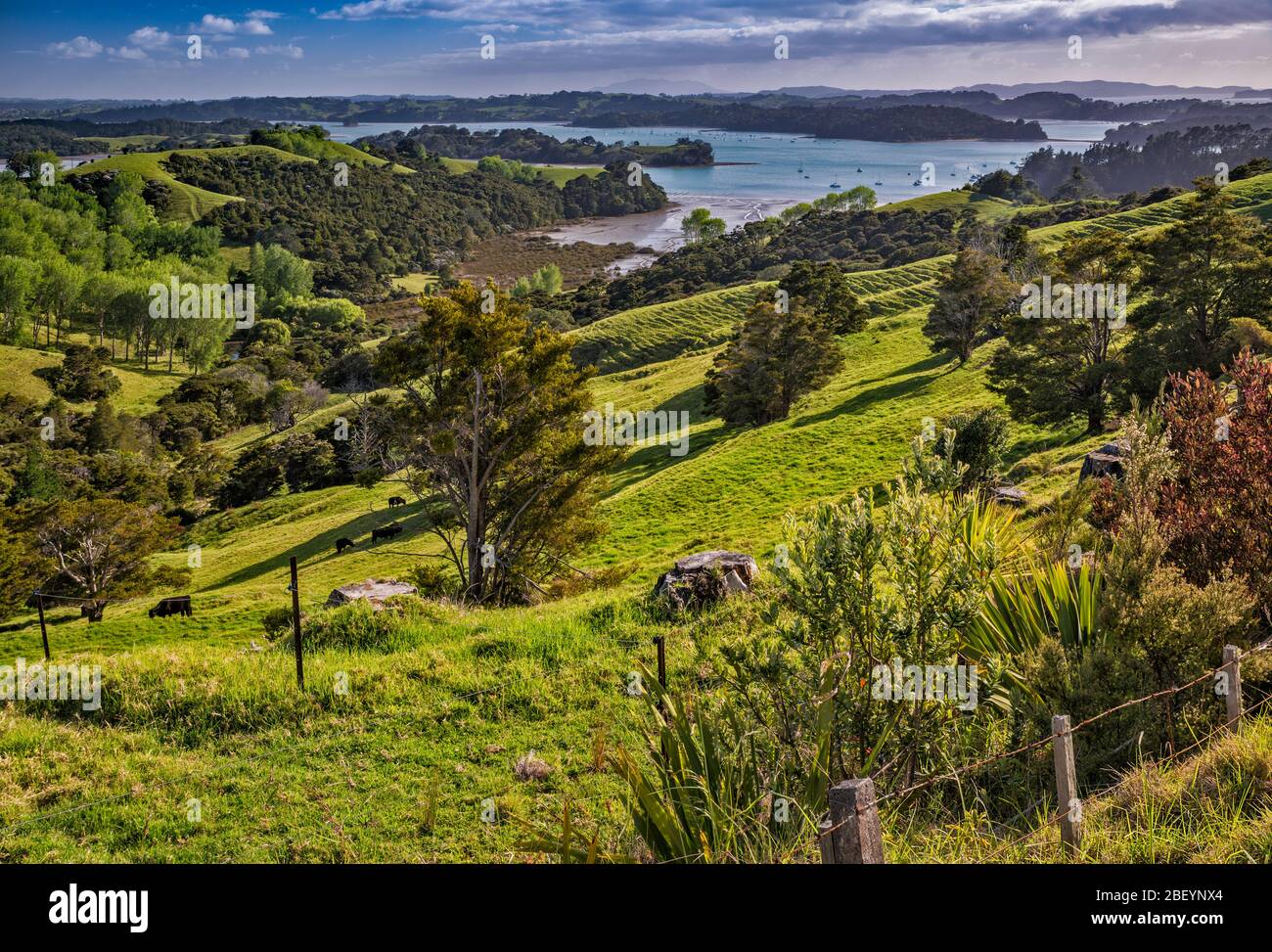 Kawau Bay, vista sulle colline vicino alla città di Snells Beach, Penisola Mahurangi, Auckland Regione, Isola del Nord, Nuova Zelanda Foto Stock