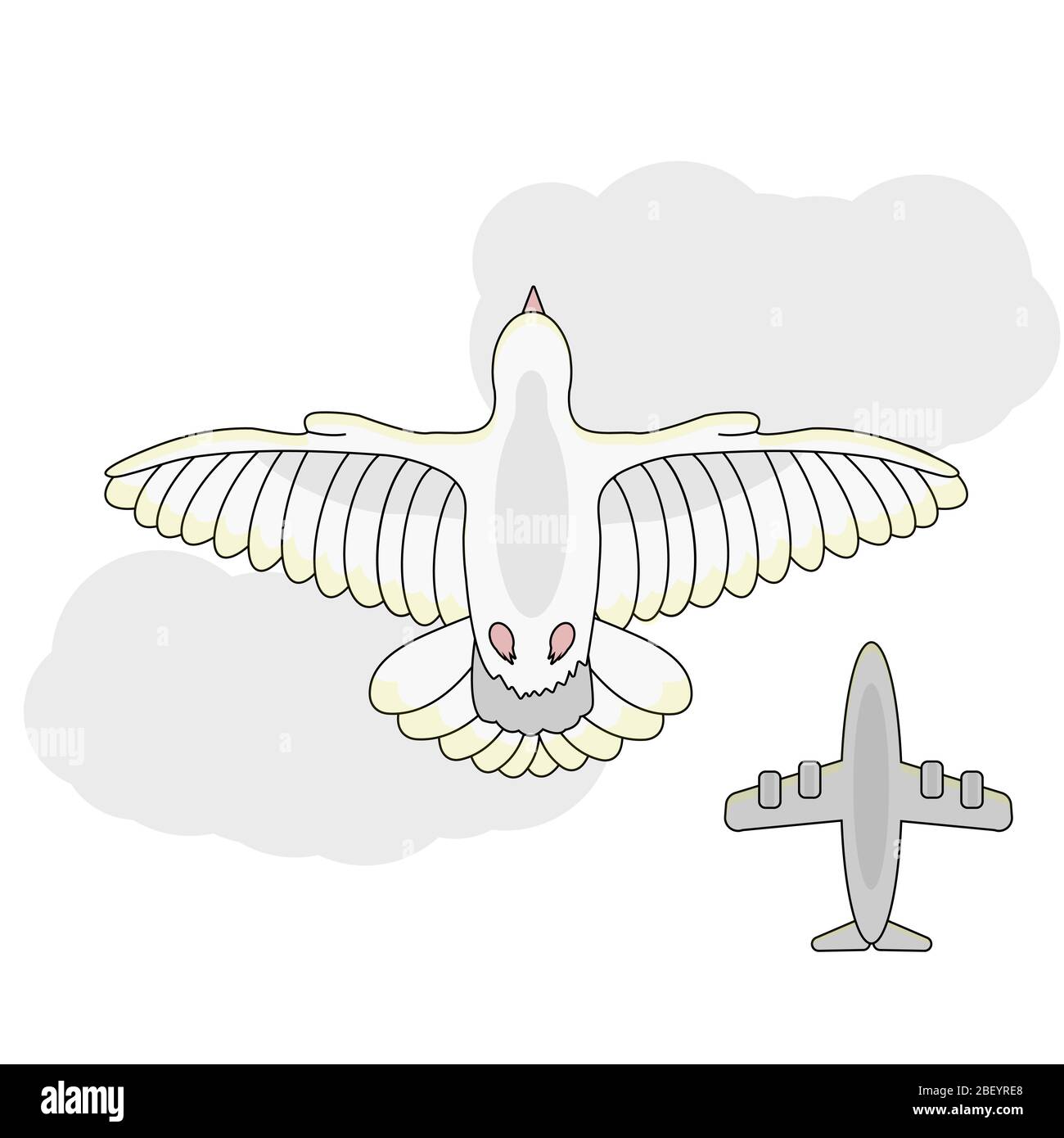 cartone animato bianco colomba vista dal basso volare nel cielo contro uno sfondo di nuvole e un aereo. sfondo bianco isolato stock vettore illustrazione Illustrazione Vettoriale