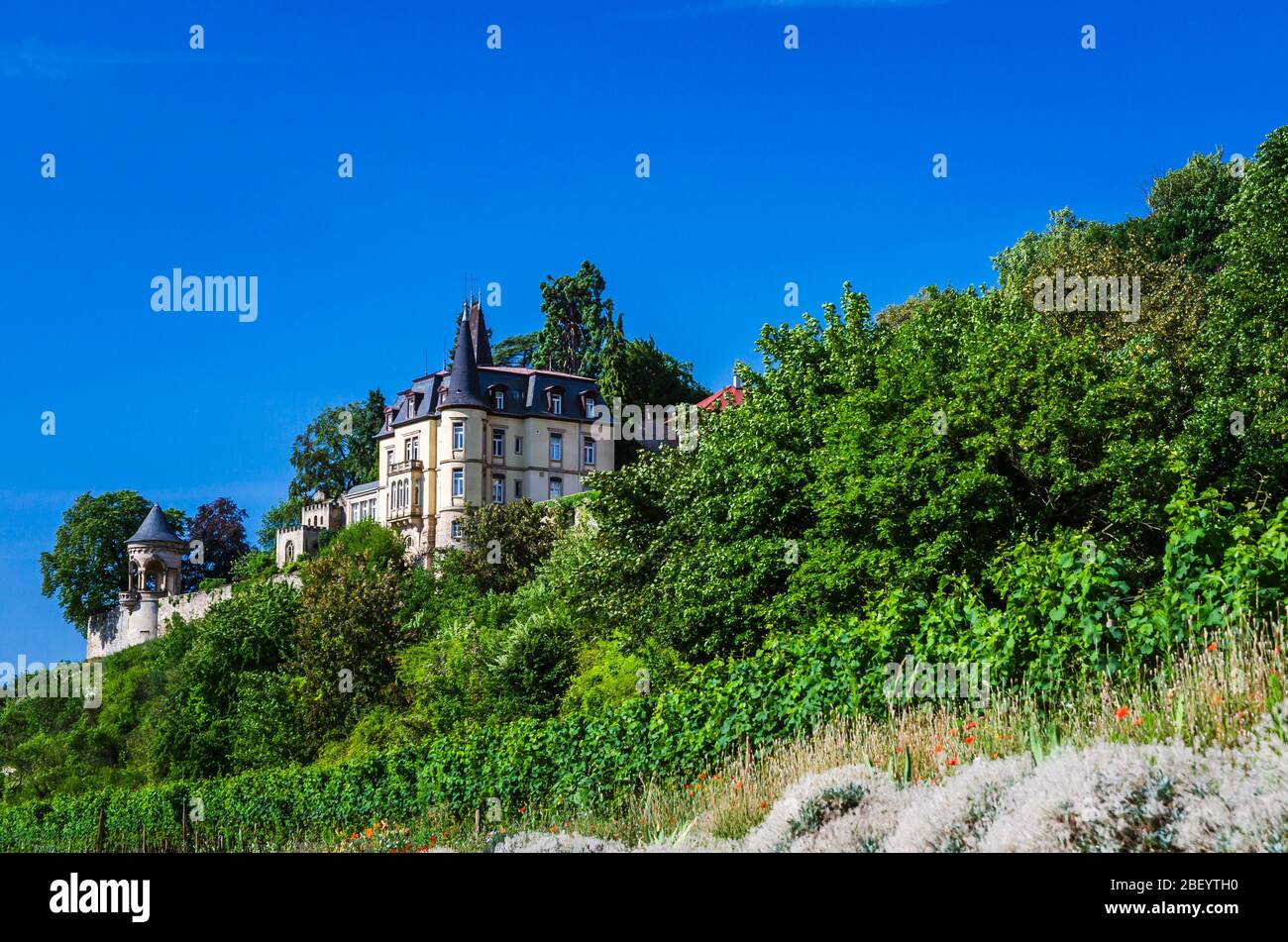 Castello di Haardt, Neustadt an der Weinstrasse, Renania-Palatinato, Germania Foto Stock