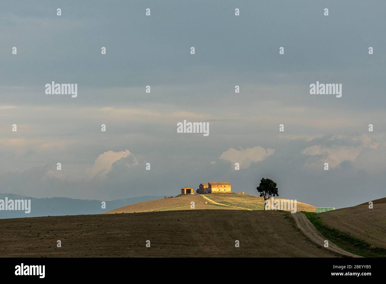 Siena, Toscana, Italia Foto Stock