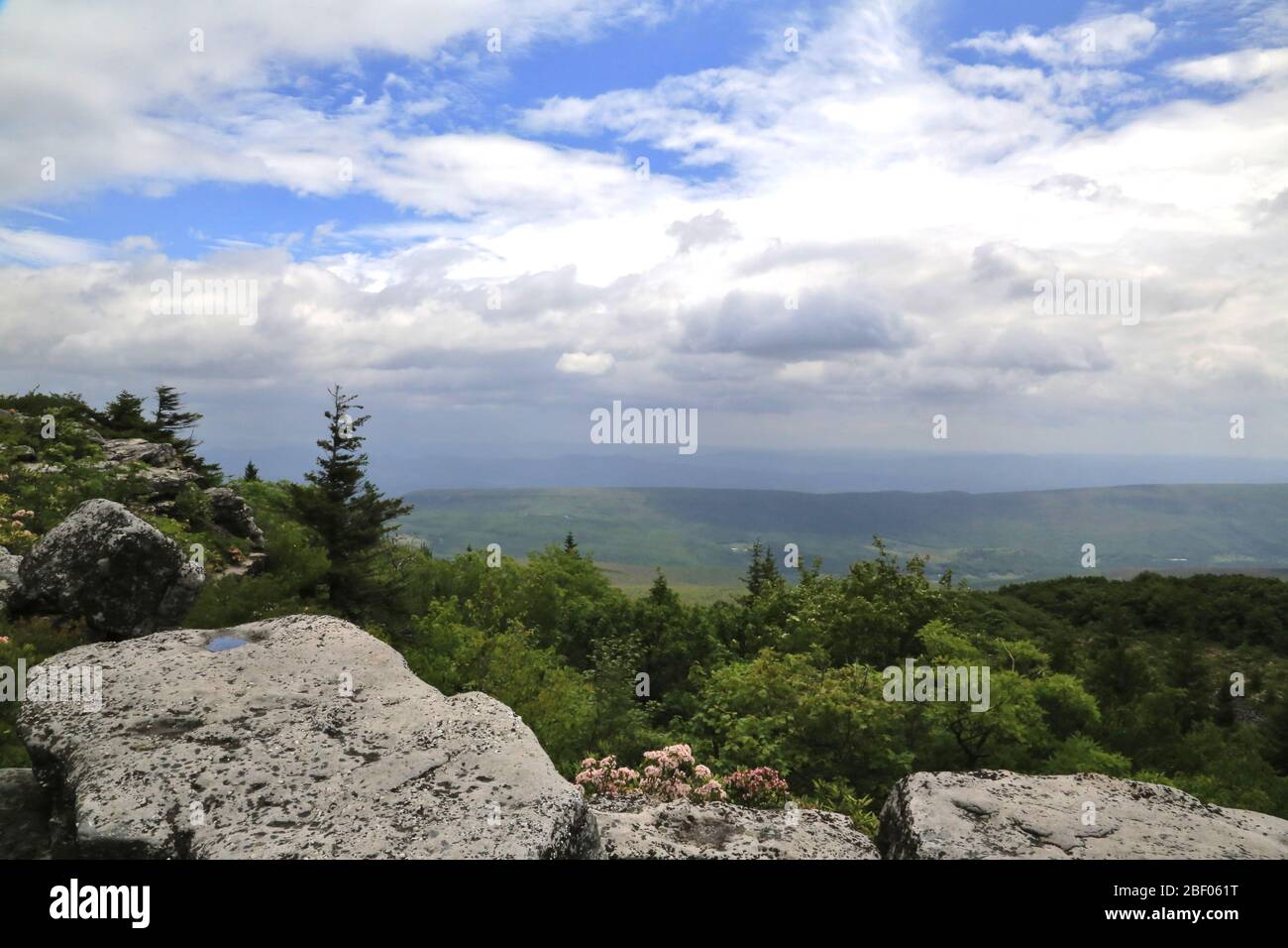 Bear Rocks a Dolly Sods West Virginia Foto Stock