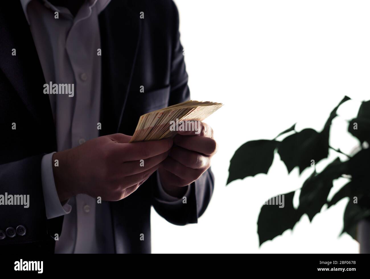 Ambiente o eco-business e finanza. Investire nell'energia sostenibile e verde. Uomo in tuta contando denaro. Pianta con foglie. Avvocato ambientale. Foto Stock