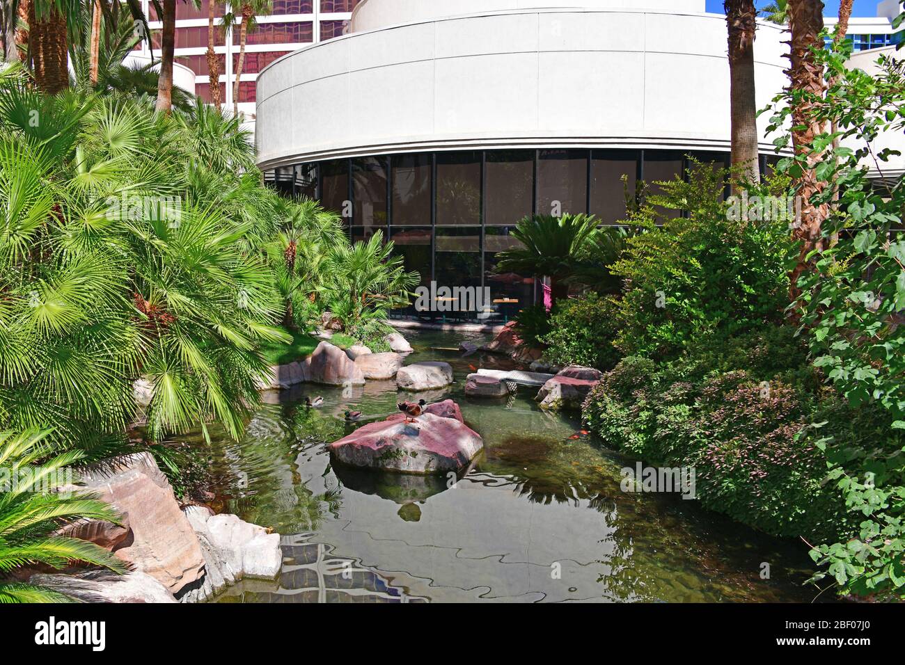 Il Flamingo habitat per la flora e la fauna. Las Vegas NV, STATI UNITI D'AMERICA 09-30-18. Si trova in una zona di 15 acri, l'habitat è piena di uccelli esotici, i pesci e le tartarughe marine Foto Stock