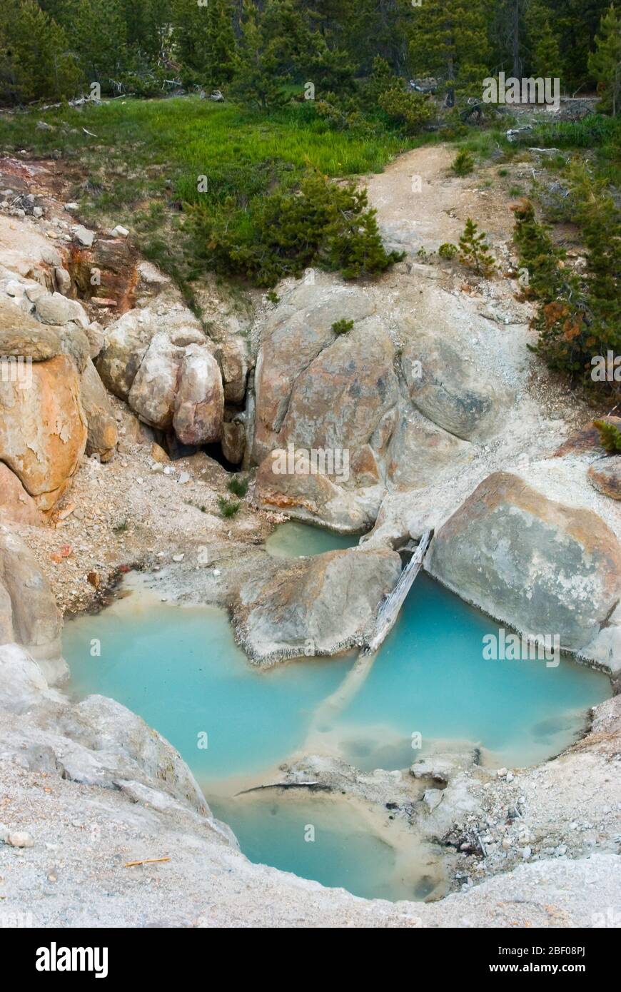 Piscine turchesi nel bacino del Norris Geyser del Parco Nazionale di Yellowstone Foto Stock