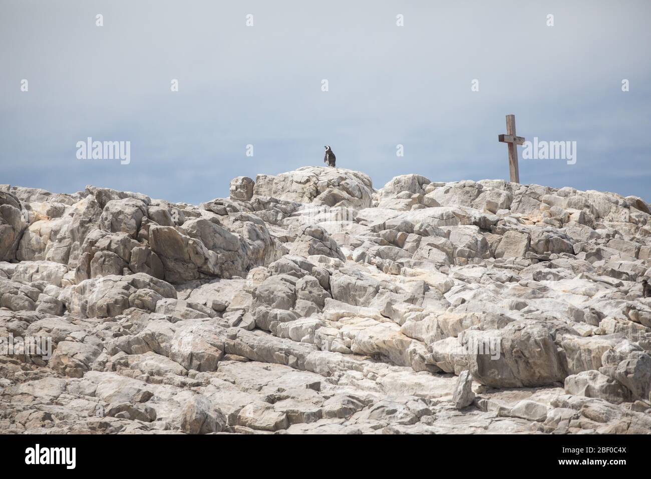 Isola di Saint Croix nella baia di Algoa, Baia di Nelson Mandela, Port Elizabeth, Sudafrica, sostiene la più grande colonia di allevamento di pinguino africano in via di estinzione Foto Stock