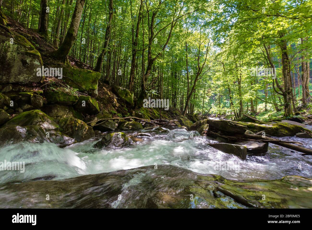 splendido paesaggio di rapido fiume di montagna. flusso tra rocce muschiate nei fores in primavera. caldo tempo soleggiato. alberi in verde fogliame Foto Stock