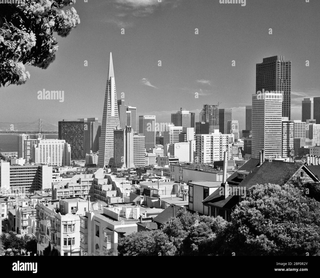 1970 ANNI '80 TRANSAMERICA PIRAMIDE EDIFICIO E SKYLINE DEL QUARTIERE FINANZIARIO SAN FRANCISCO CALIFORNIA STATI UNITI - R25648 KRU001 HARS QUARTIERE FINANZIARIO ICONICO VECCHIO STILE Foto Stock