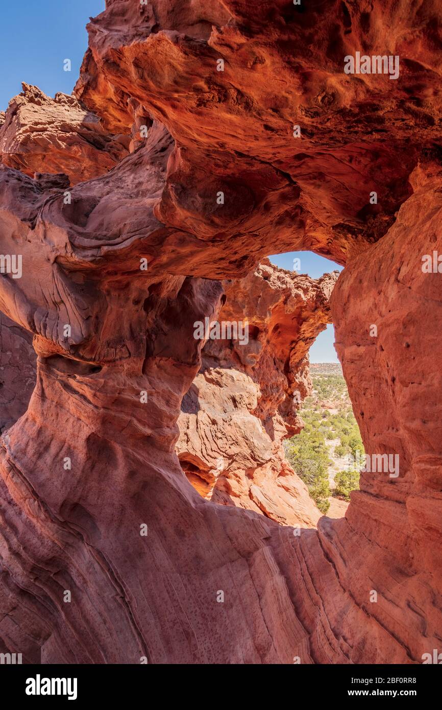 Doppio arco di Barrel nel Vermilion Cliffs National Monument Foto Stock