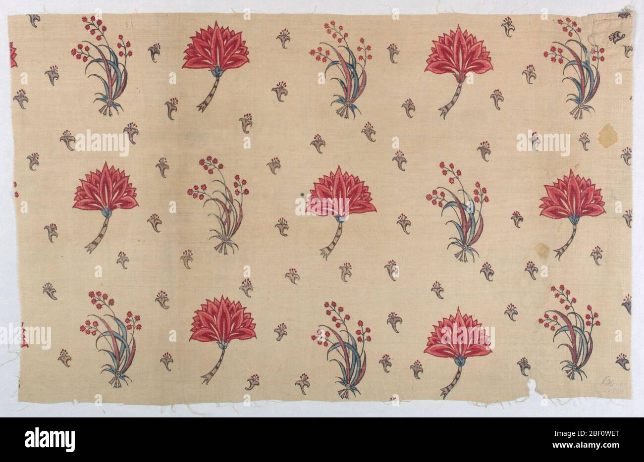 Frammento di chintz. Frammento di cotone color crema, dipinto su disegno di spray floreali staccati, alternati a testa di fiore di profilo; fondo cucito con disegno molto piccolo testa di fiore con balze. Colori rosso, blu, viola, nero per i contorni. Smaltato. Non ci sono cimeli. Foto Stock