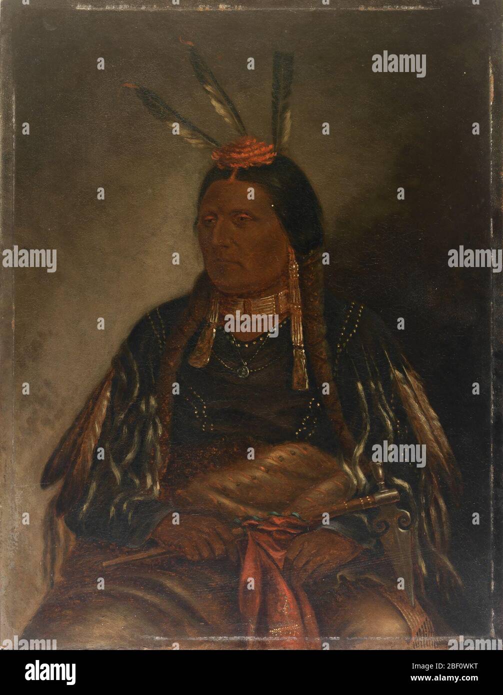 Falco giallo Chetanceta. Foto Stock