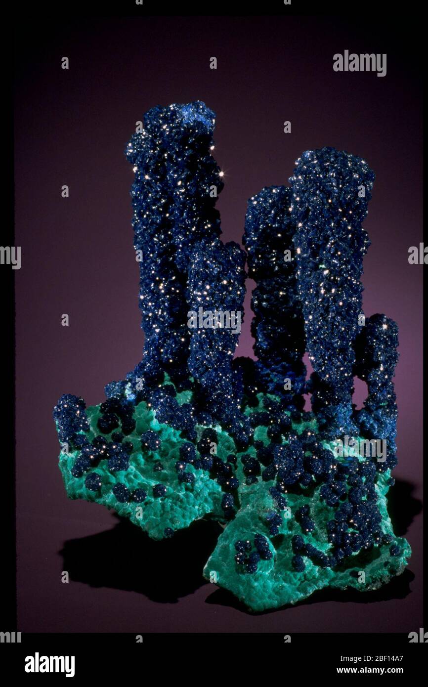 Fotografia di stalattiti di azurite (104889) dalla National Mineral Collection Foto Stock