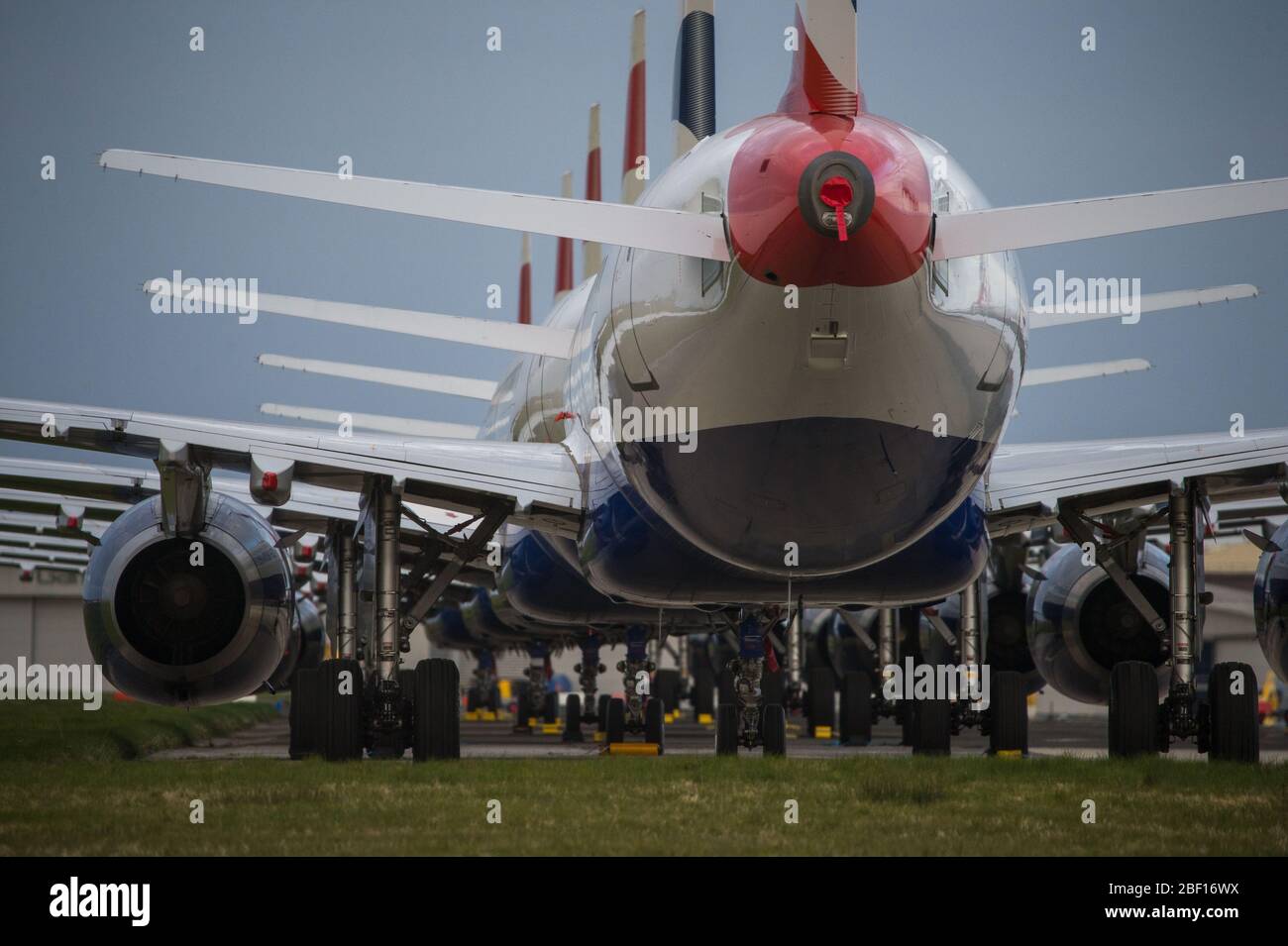 Glasgow, Regno Unito. 16 Apr 2020. Nella foto: Una collezione di quattordici aerei British Airways (aerei Airbus di breve e media portata) che vanno dagli A319, A320 e A321, che si trovano sul telone dell'aeroporto internazionale di Glasgow. L'industria aeronautica mondiale sta vivendo una crisi senza precedenti nel commercio con la maggior parte delle compagnie aeree che licenziano una quantità elevata di personale a causa delle pressioni finanziarie enormi causate dall'attuale Pandemic di Coronavirus (COVID-19). Credit: Colin Fisher/Alamy Live News Foto Stock