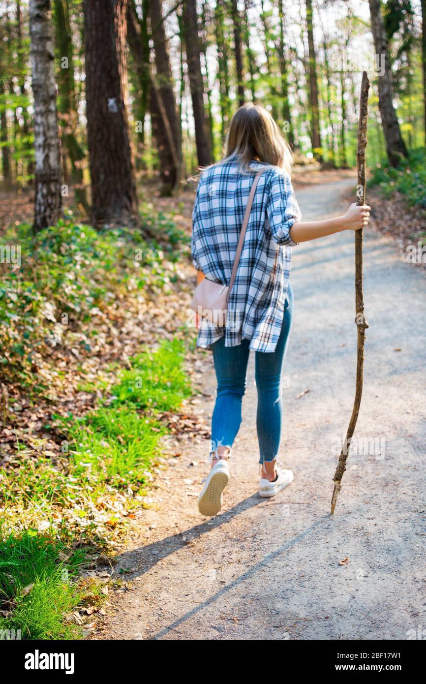 Giovane donna che vagabondano attraverso la foresta. In mano lei tiene un bastone da passeggio. Vista da dietro con retroilluminazione. Ubicazione: Germania, Renania Settentrionale, Westp Foto Stock