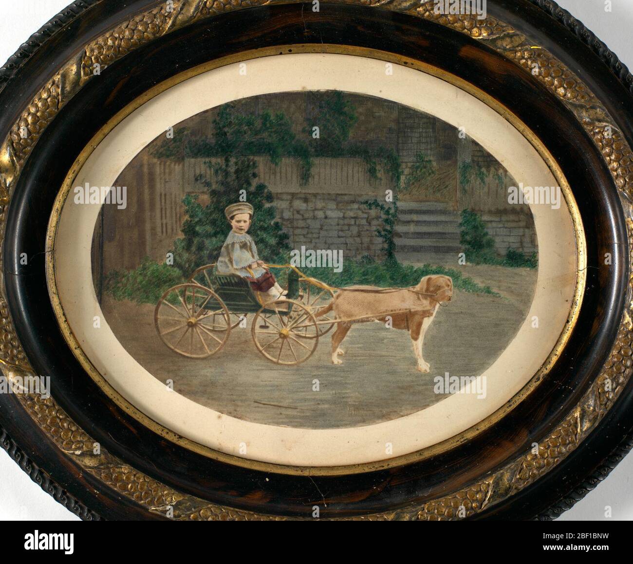 Ragazzo in Dog Cart. Foto Stock