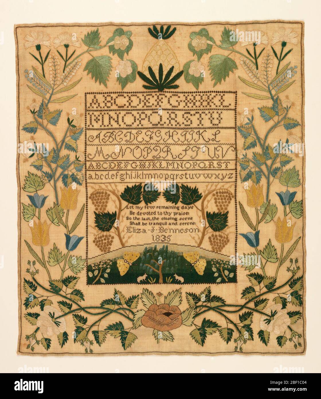 Campionatore. Il campo centrale contiene diverse fasce di alfabeti, un versetto circondato da vitigni, e l'iscrizione, con un piccolo paesaggio di animali e insetti. Foto Stock