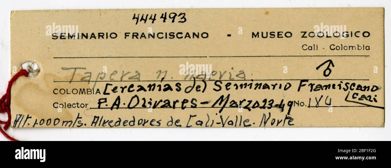 Tapera naovia naovia. 15 ago 20141 Foto Stock