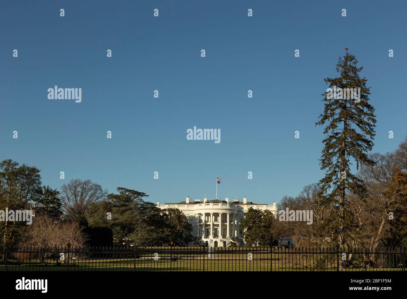 La casa bianca nel pomeriggio a Washington DC, USA. Foto Stock