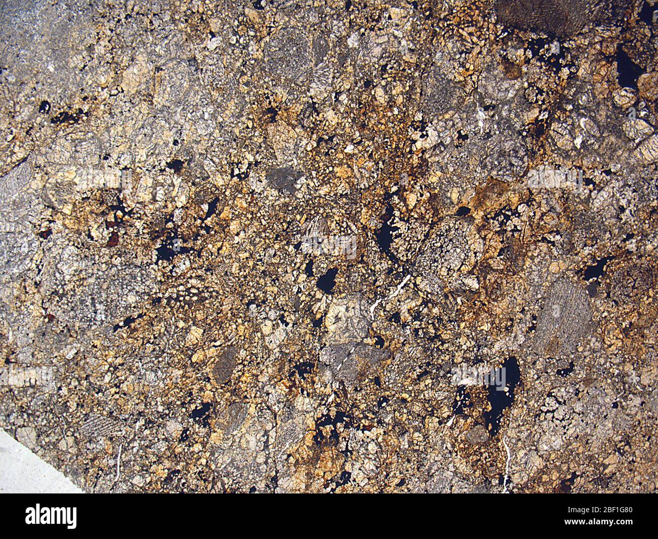 Blackwell. 23 ago 201845443791 Foto Stock