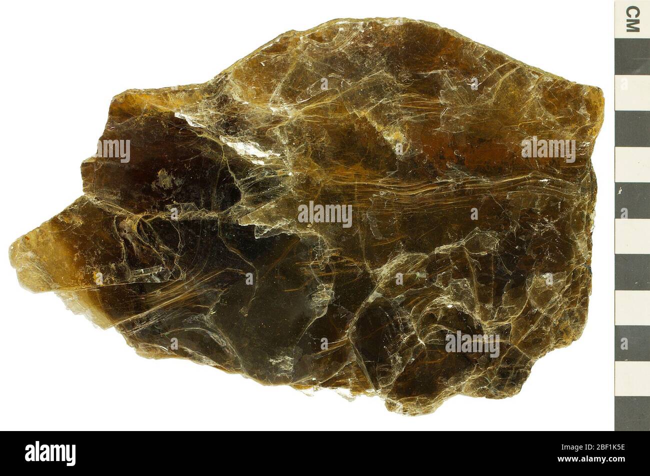 Fillosilicato minerale Zinnwaldite. Questo oggetto fa parte della collezione Education and Outreach, alcuni dei quali sono nel centro di formazione scientifica Q?rius e disponibili per vedere.314 gennaio 2020 Foto Stock