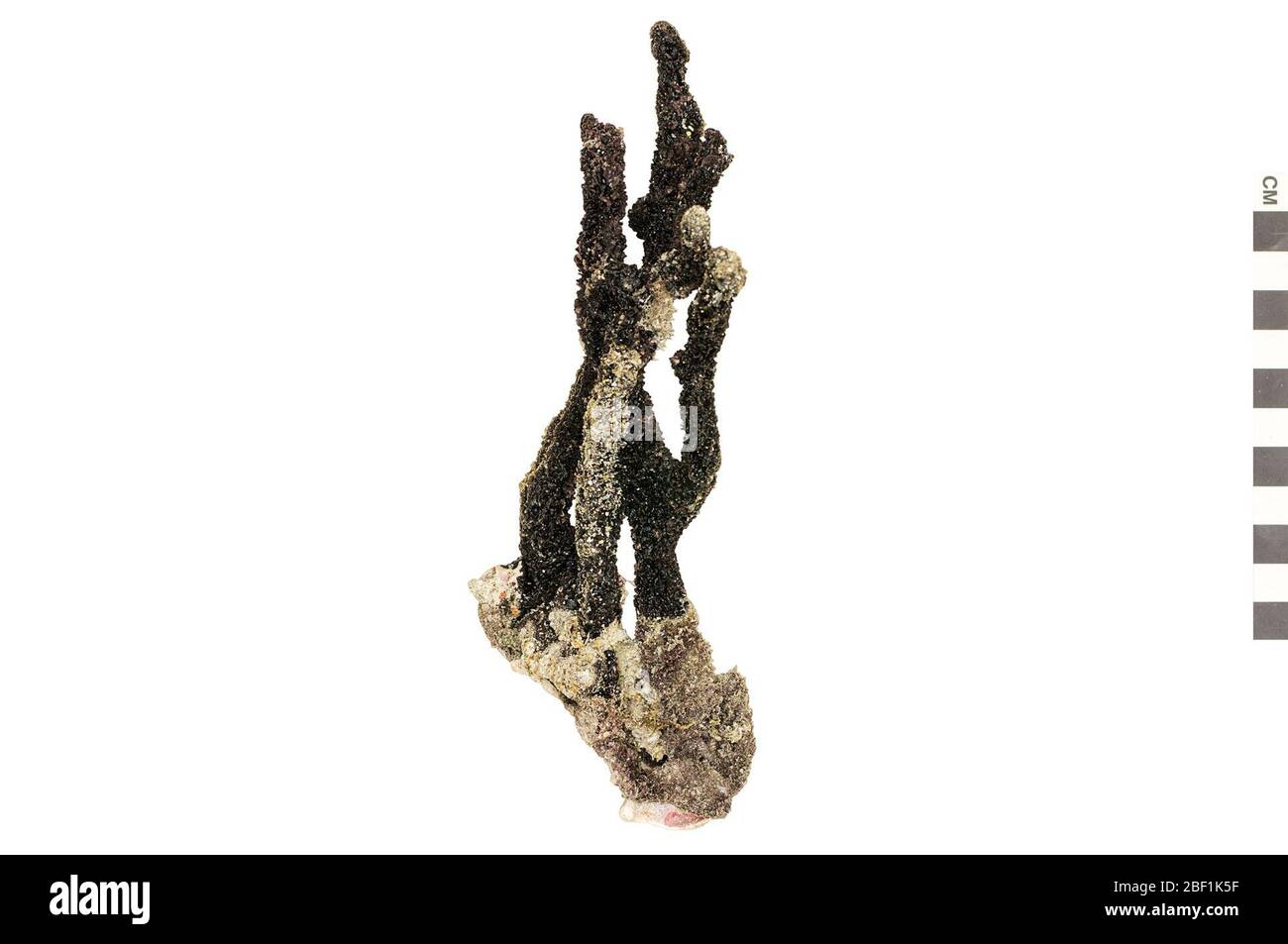 Spugna verde per dito. Questo oggetto fa parte della collezione Education and Outreach, alcuni dei quali sono nel centro di formazione scientifica Q?rius e disponibili per vedere.114 gennaio 2020 Foto Stock