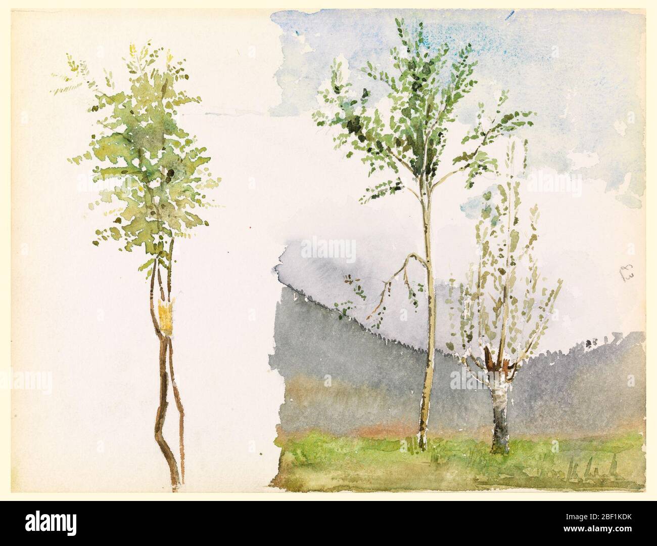 Schizzi orizzontali. A sinistra, due alberi giovani; a destra, due alberi in un prato mostrato contro colline boscose. Verso, massi e un sempreverde. Foto Stock