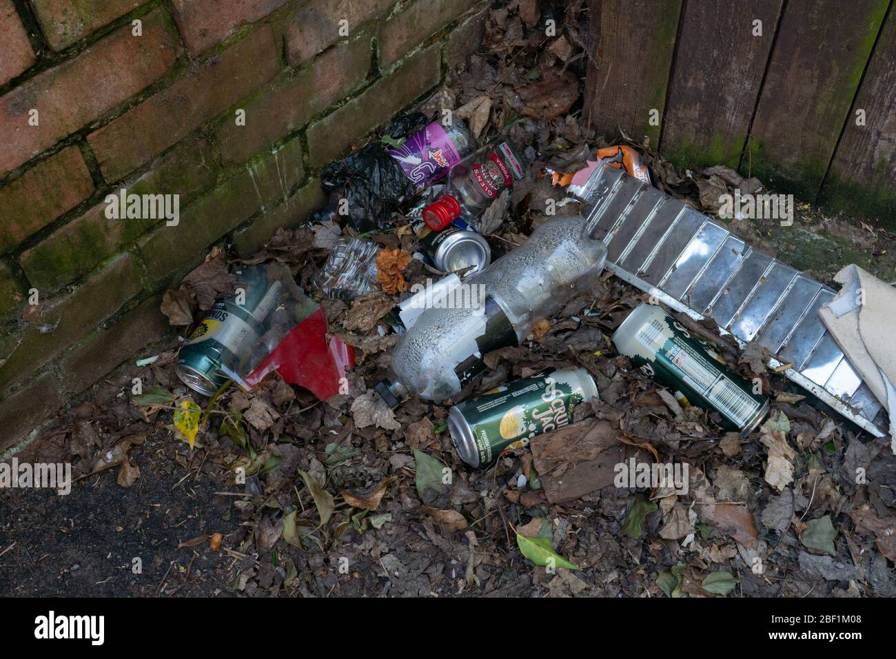 Rifiuti, lattine per bevande e bottiglie di plastica scaricate in vicolo. Midlands occidentali. REGNO UNITO Foto Stock