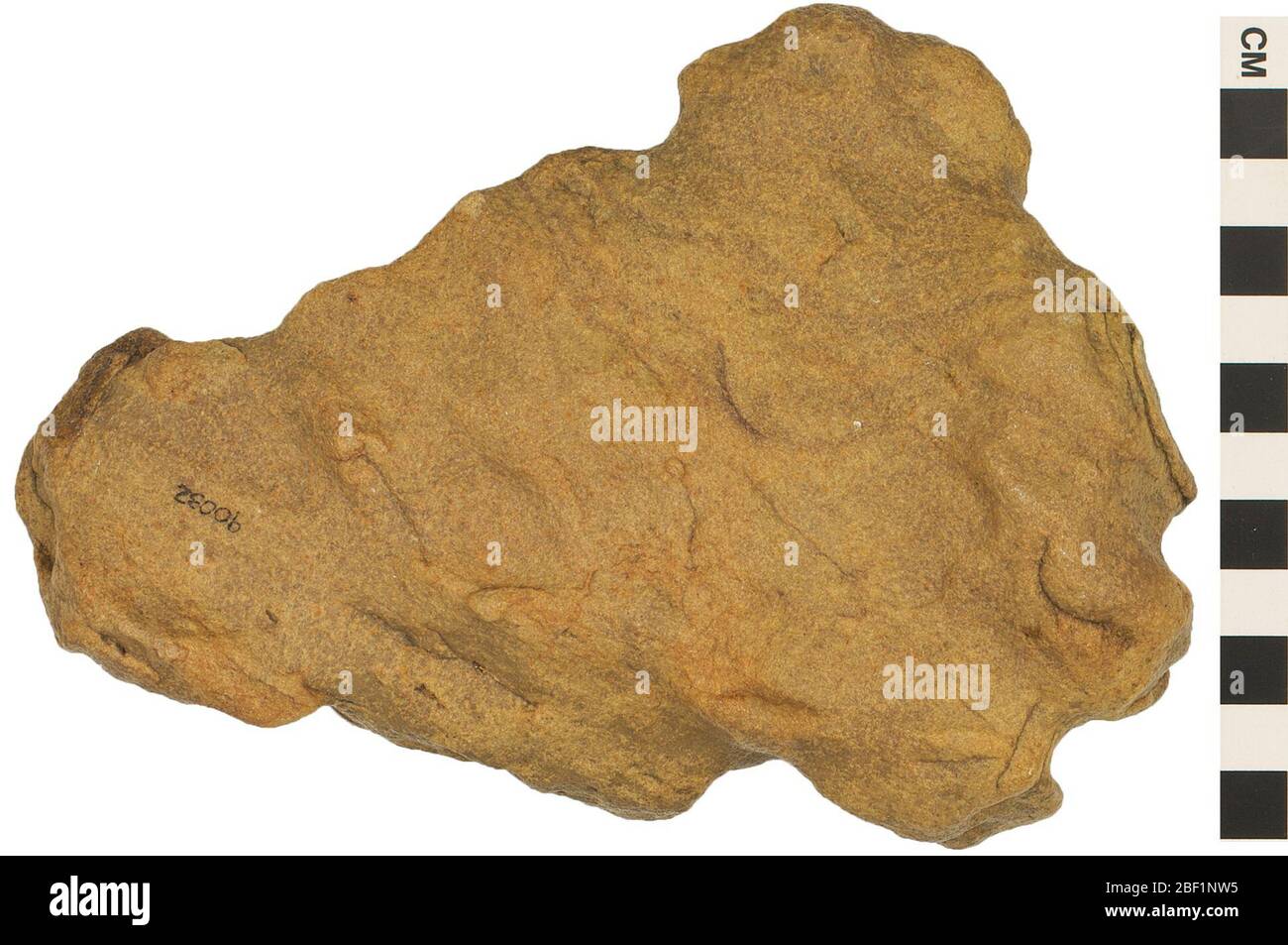 Pietra arenaria quartziotica di roccia sedimentaria. Questo oggetto fa parte della collezione Education and Outreach, alcuni dei quali sono nel centro di formazione scientifica Q?rius e disponibili per vedere.114 gennaio 2020 Foto Stock