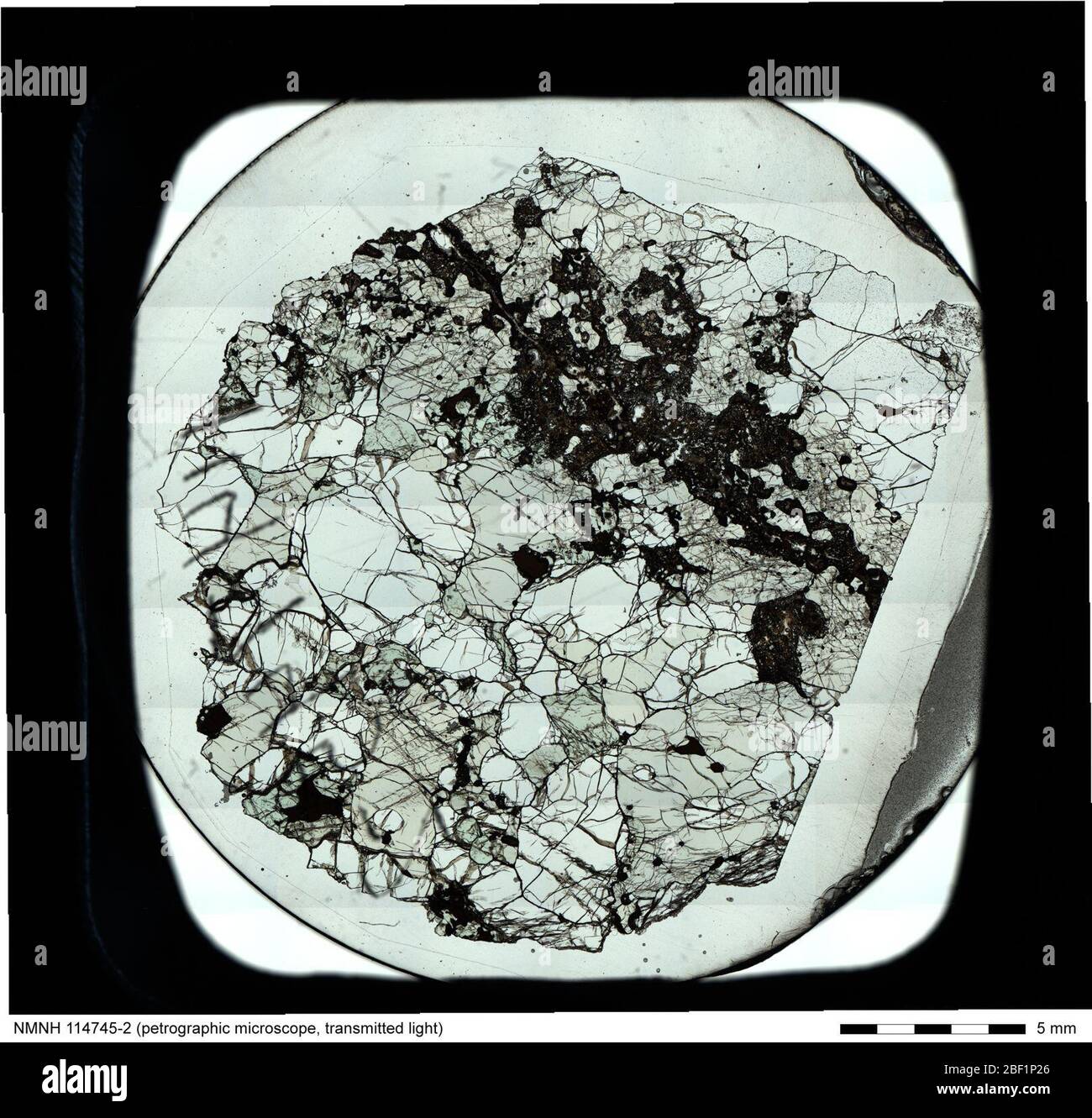 Micrografia a luce trasmessa di Lherzolite (114745-2) dalla National Rock & Ore Collection. Include etichetta e scala. Foto Stock