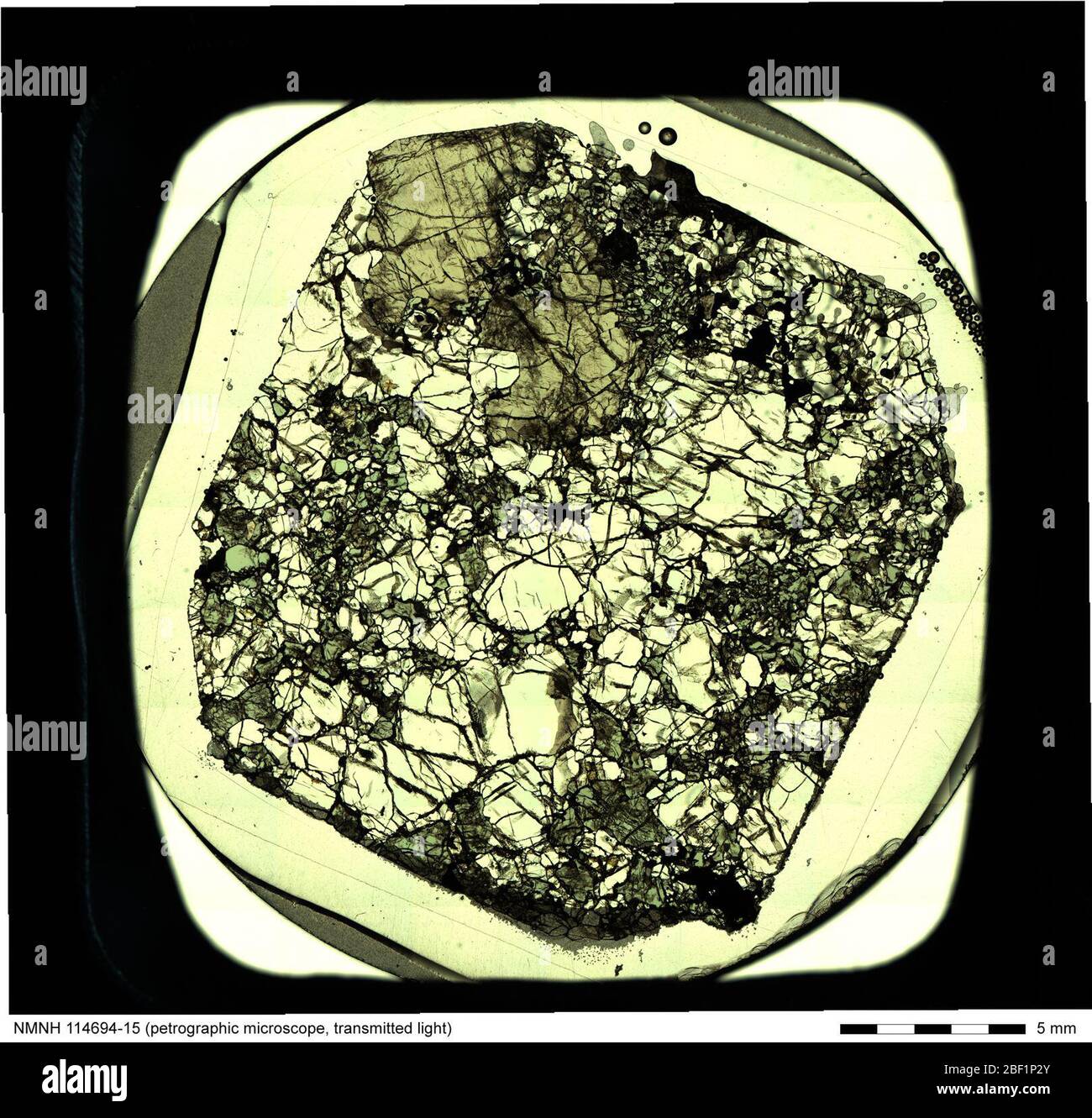 Micrografia a luce trasmessa di Lherzolite (114694-15) dalla National Rock & ore Collection. Include etichetta e scala. Foto Stock