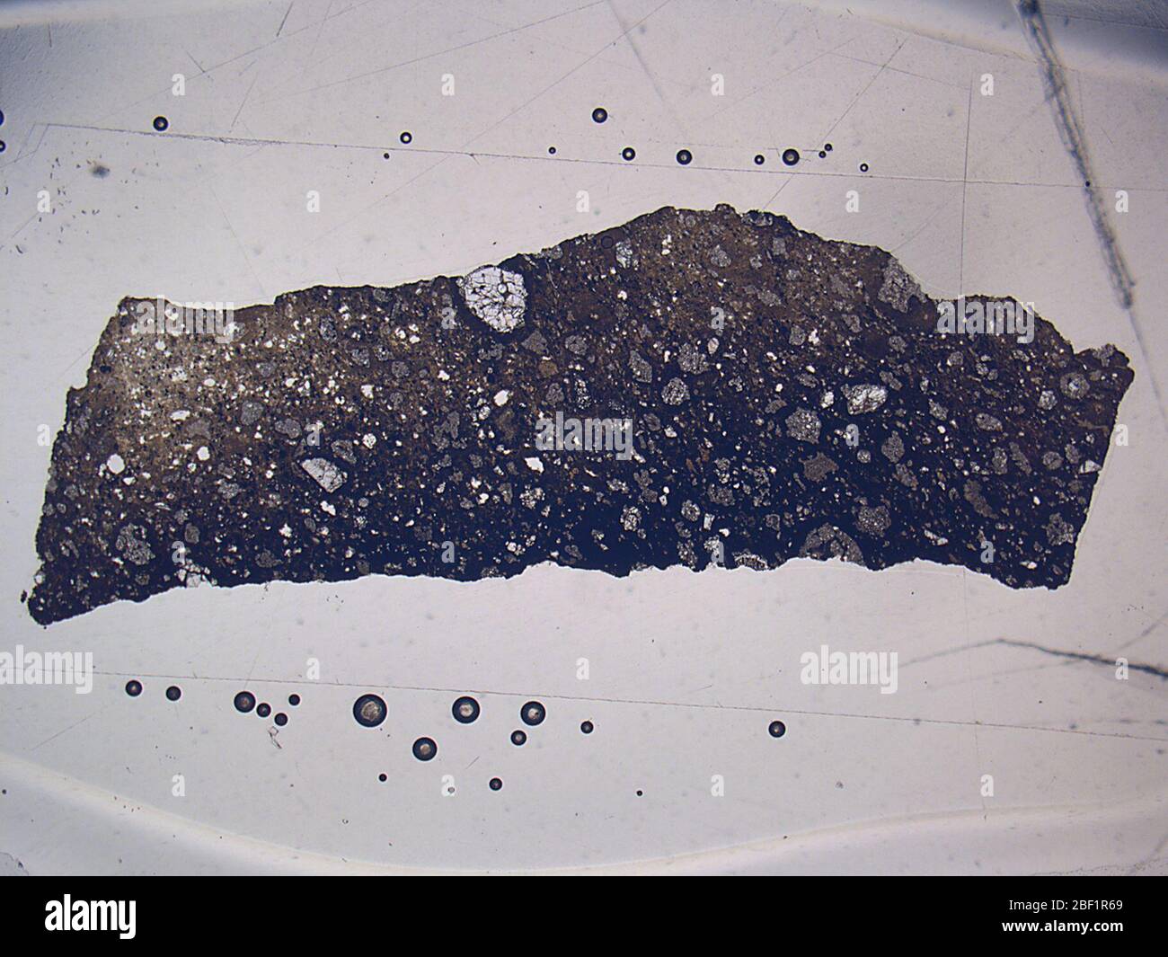 Murray. 23 ago 201862549251 Foto Stock