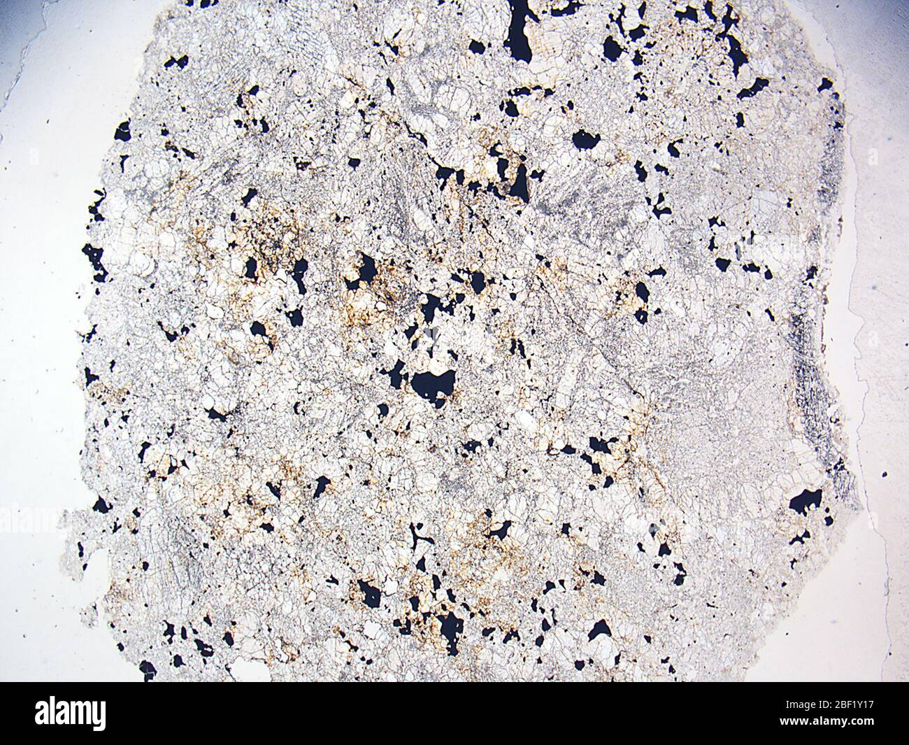 Tambakwatu. 23 ago 201816430841 Foto Stock