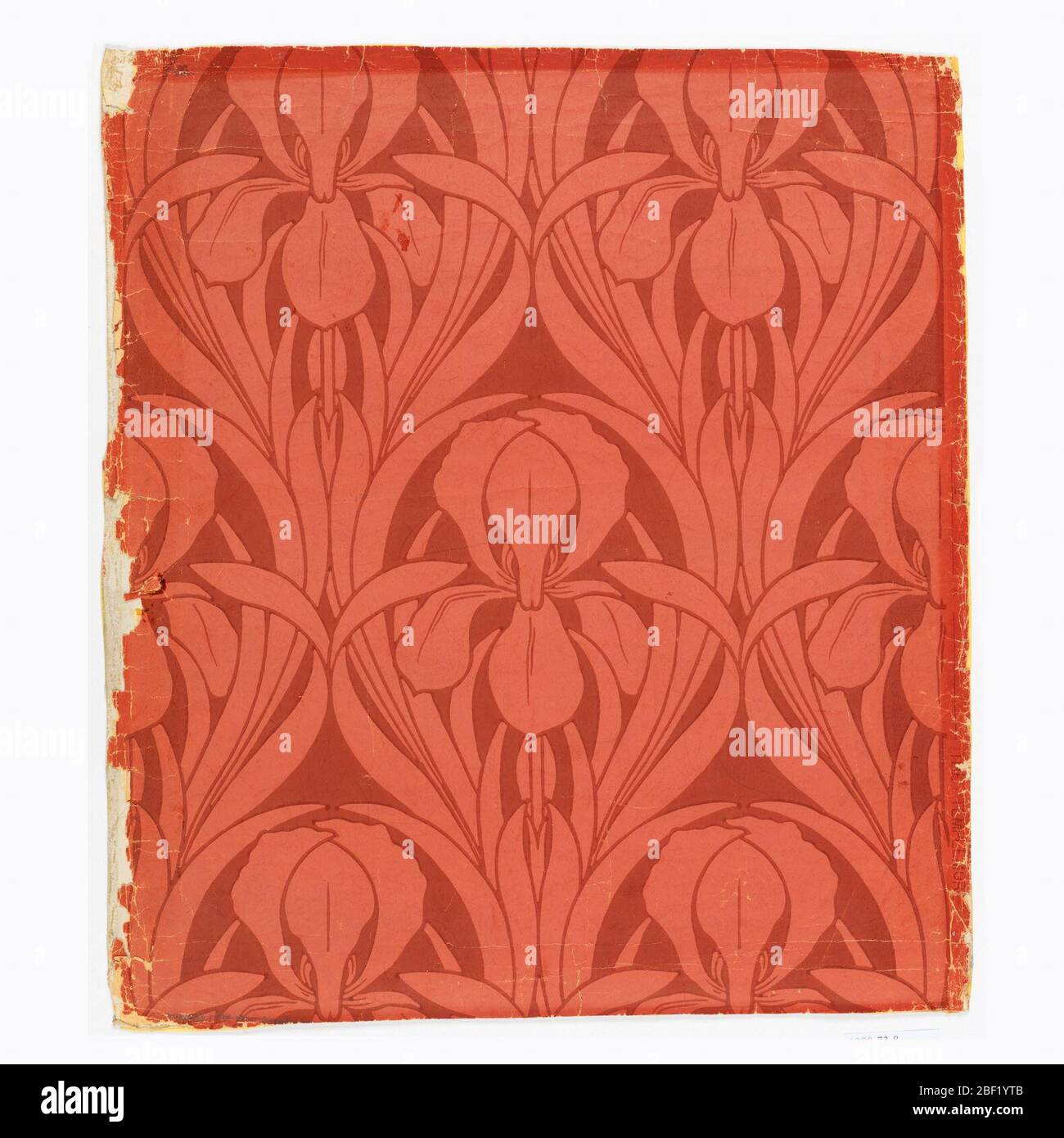 Il Templemore. Iridi e foglie stilizzate di grandi dimensioni, gocce ripetitive, stampate in corallo, rosa polverosa e borgogna. Foto Stock