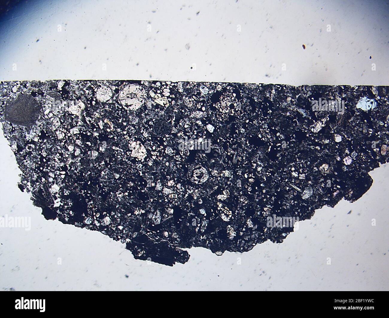 Yambo. 23 ago 20181 Foto Stock