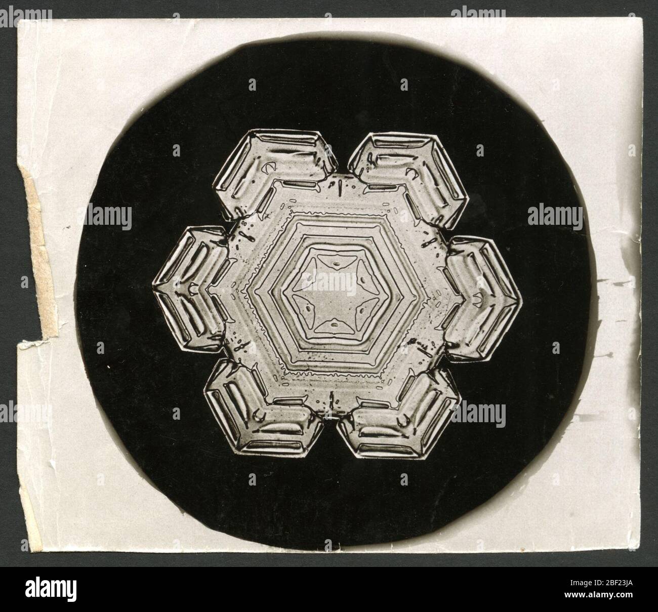 Wilson Bentleys Snowflake 1206 c 1890. ID alternativo: SPI 269Wilson A. Bentley è diventato affascinato dalla neve durante la sua infanzia in una fattoria del Vermont, e ha sperimentato per anni con i modi per vedere i singoli fiocchi di neve al fine di studiare la loro struttura cristallina. Foto Stock