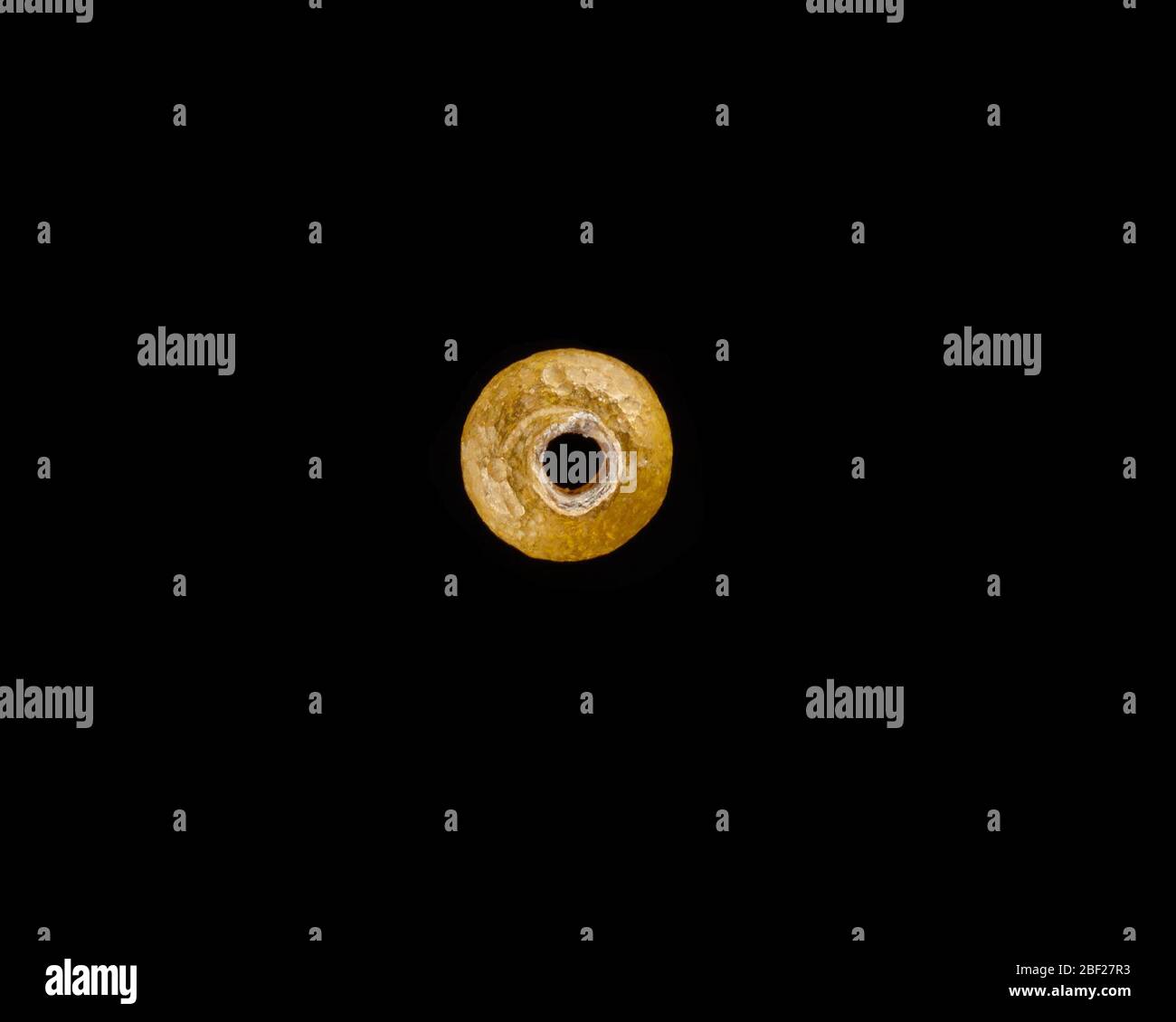 Cordone. Giovanni Dattari (1858 - 1923) Foto Stock