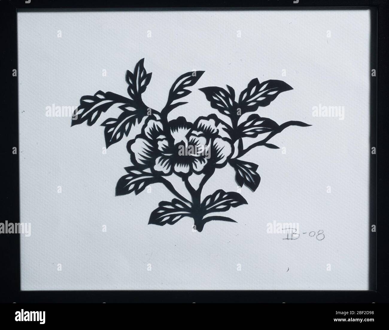Taglio di carta di silhouette di fiore. Foto Stock