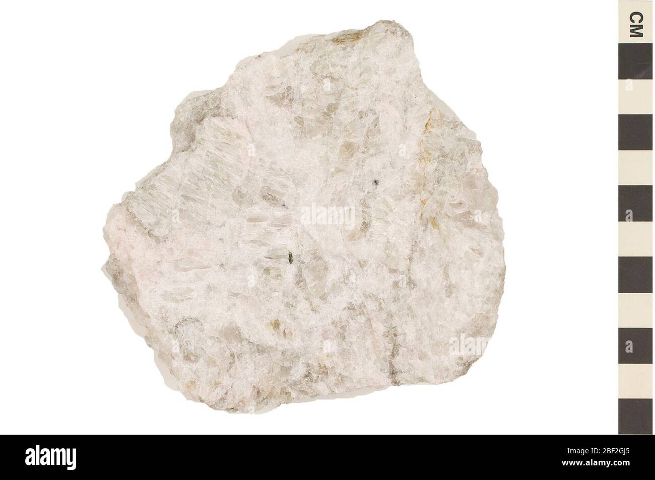 Elemento chimico litio. Questo oggetto fa parte della collezione Education and Outreach, alcuni dei quali sono nel centro di formazione scientifica Q?rius e disponibili per vedere.questo minerale è litio ore, un elemento chimico, all'interno grossolano Spodumene (un minerale di alluminosilicato) cristalli con forte scissione con min Foto Stock