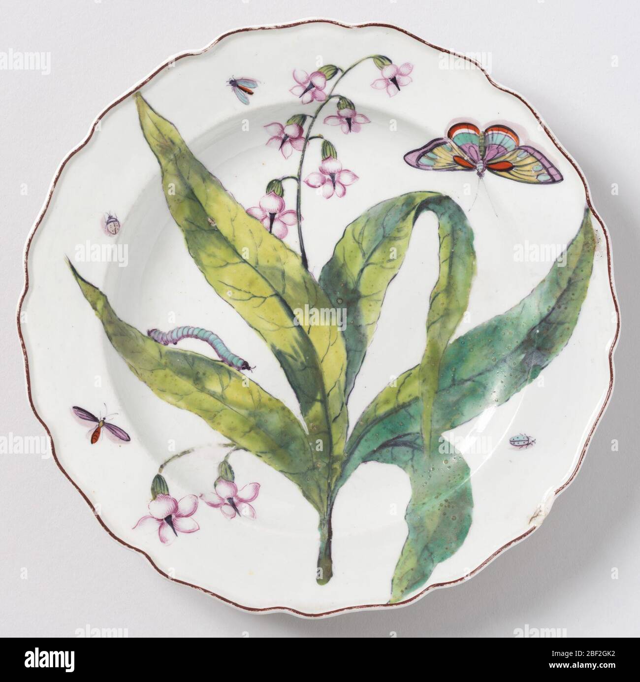 Piastra. Una piastra con bordo ondulato e bordato marrone. Decorazione che mostra piante fiorite e insetti. Foto Stock